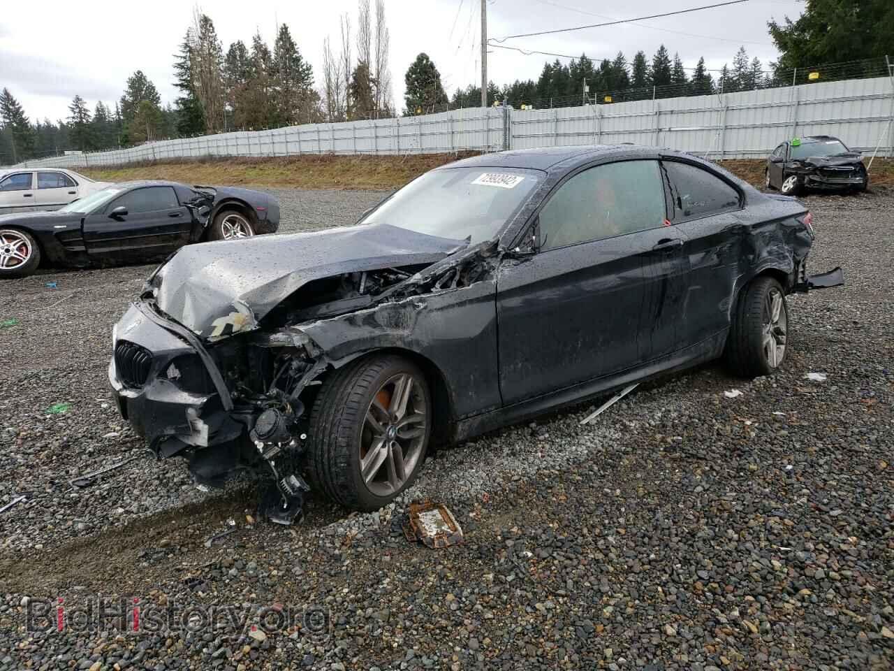 Photo WBA1G9C51GV598928 - BMW 2 SERIES 2016