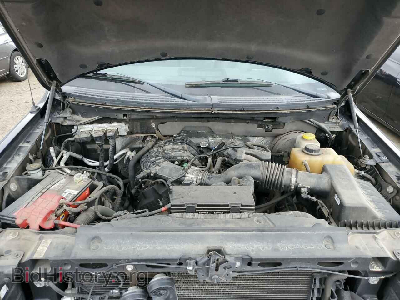 2014 FORD All Models - VIN: 1FTMF1CM9EKF02635 - Фото 11