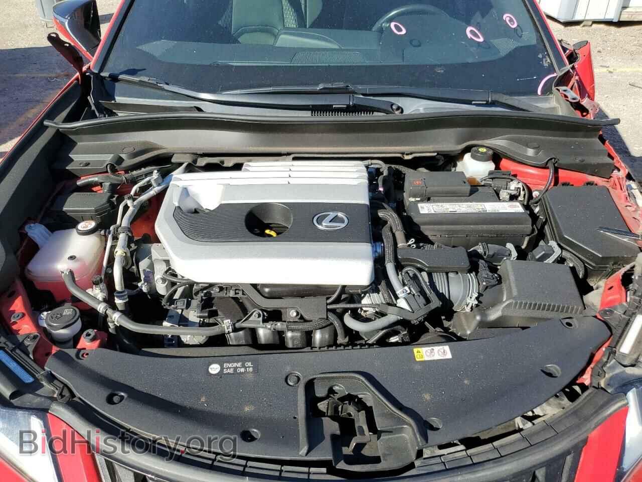 2019 LEXUS UX 200 - VIN: JTHY3JBH1K2004504 - Фото 11
