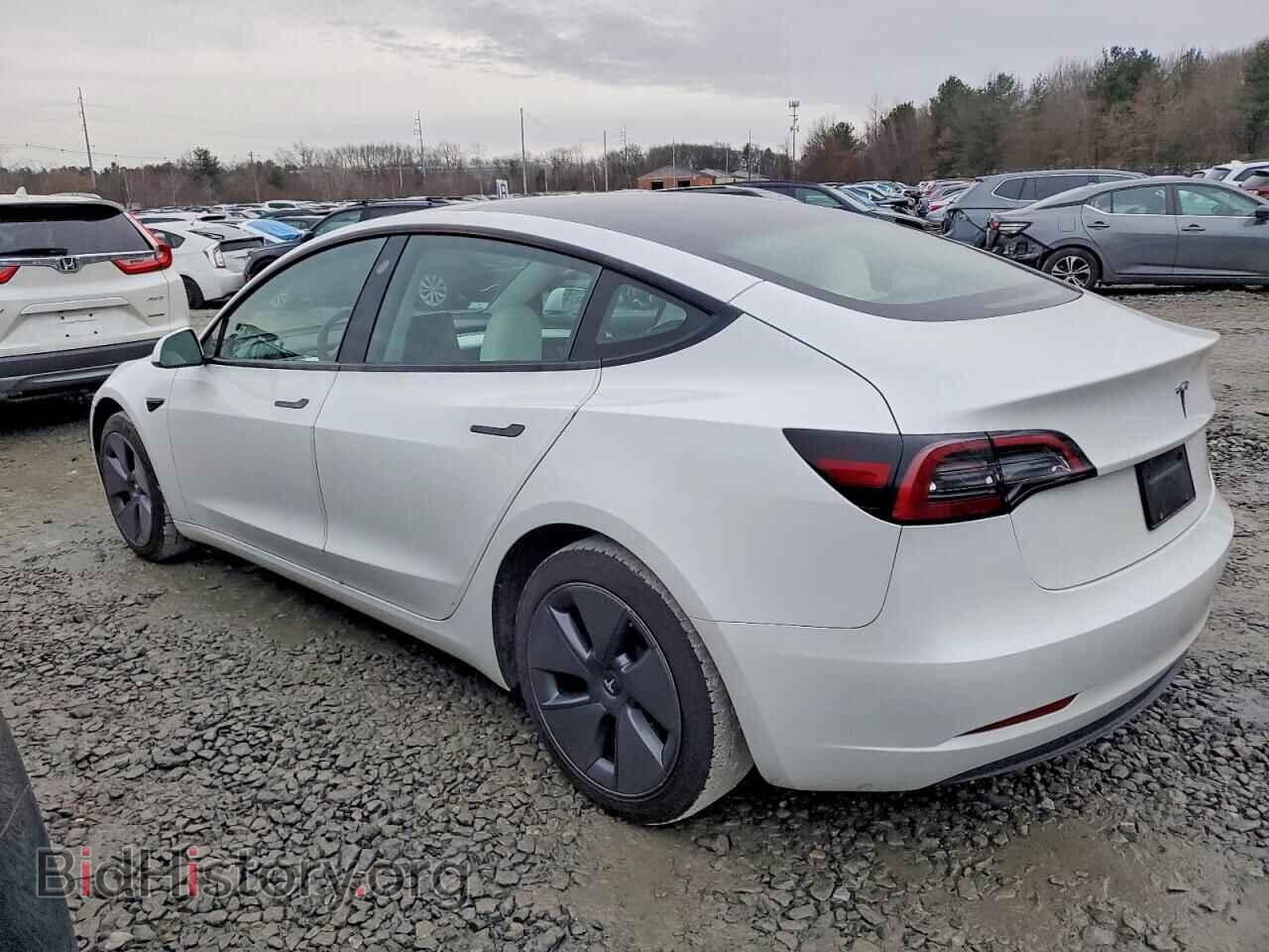 2023 TESLA MODEL 3 - VIN: 5YJ3E1EA1PF505871 - Photo 2