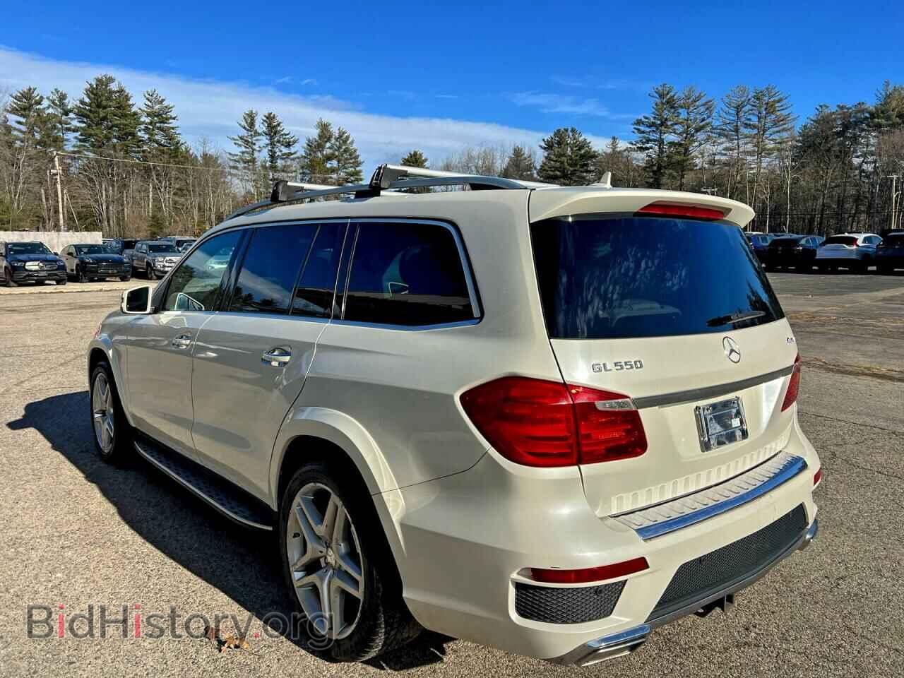 2014 MERCEDES-BENZ GL-CLASS - VIN: 4JGDF7DE1EA335599 - Фото 3