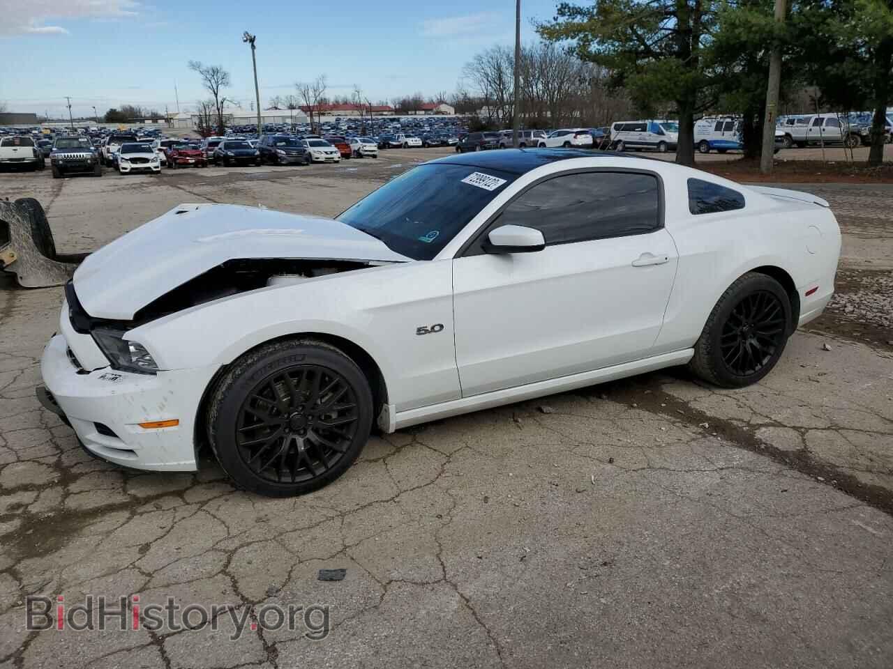 Photo 1ZVBP8CF5E5284106 - FORD MUSTANG 2014