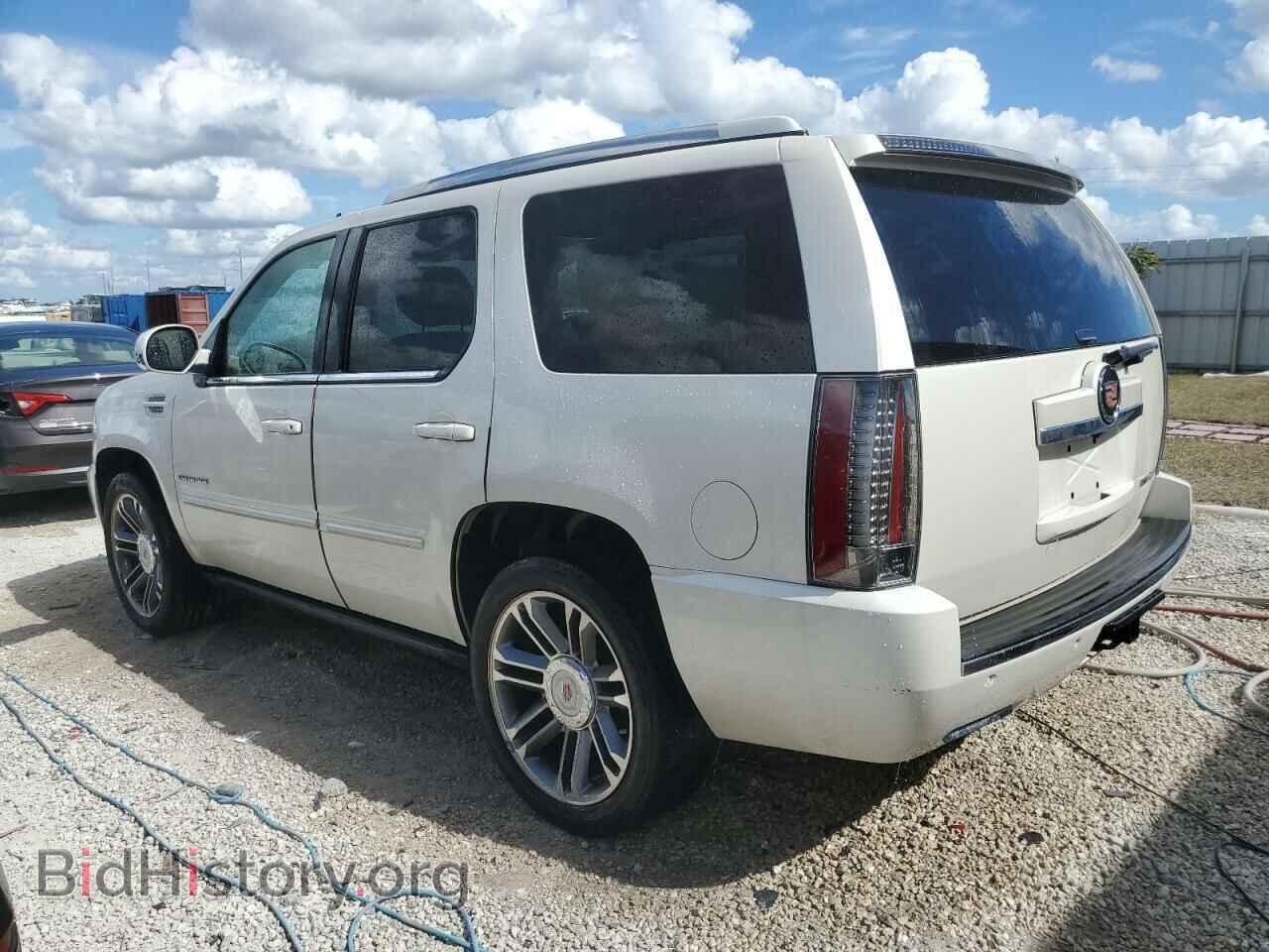 2013 CADILLAC ESCALADE - VIN: 1GYS4CEF0DR329739 - Фото 2