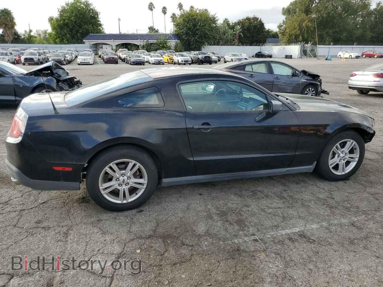 2012 FORD ALL Models - VIN: 1ZVBP8AM1C5256690 - Фото 3