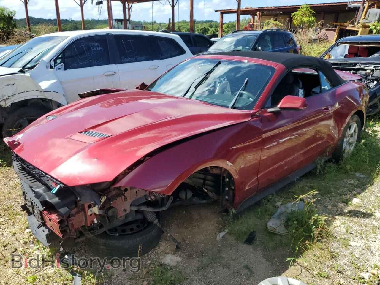 Photo 1FATP8UH9K5128594 - FORD ALL Models 2019