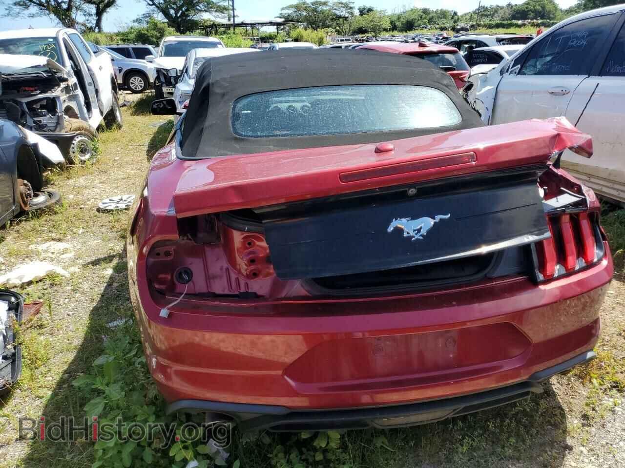2019 FORD ALL Models - VIN: 1FATP8UH9K5128594 - Фото 6