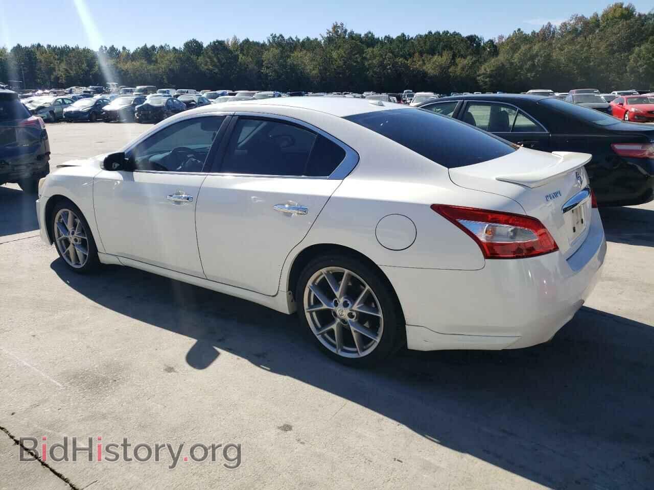 2011 NISSAN MAXIMA - VIN: 1N4AA5AP1BC810030 - Фото 2