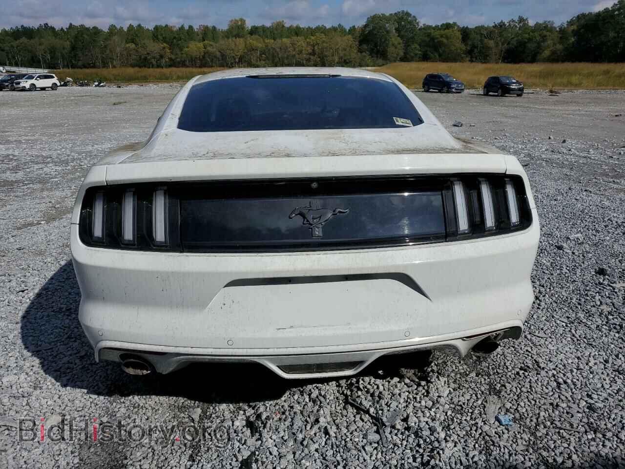 2017 FORD ALL Models - VIN: 1FA6P8AM8H5263251 - Фото 6