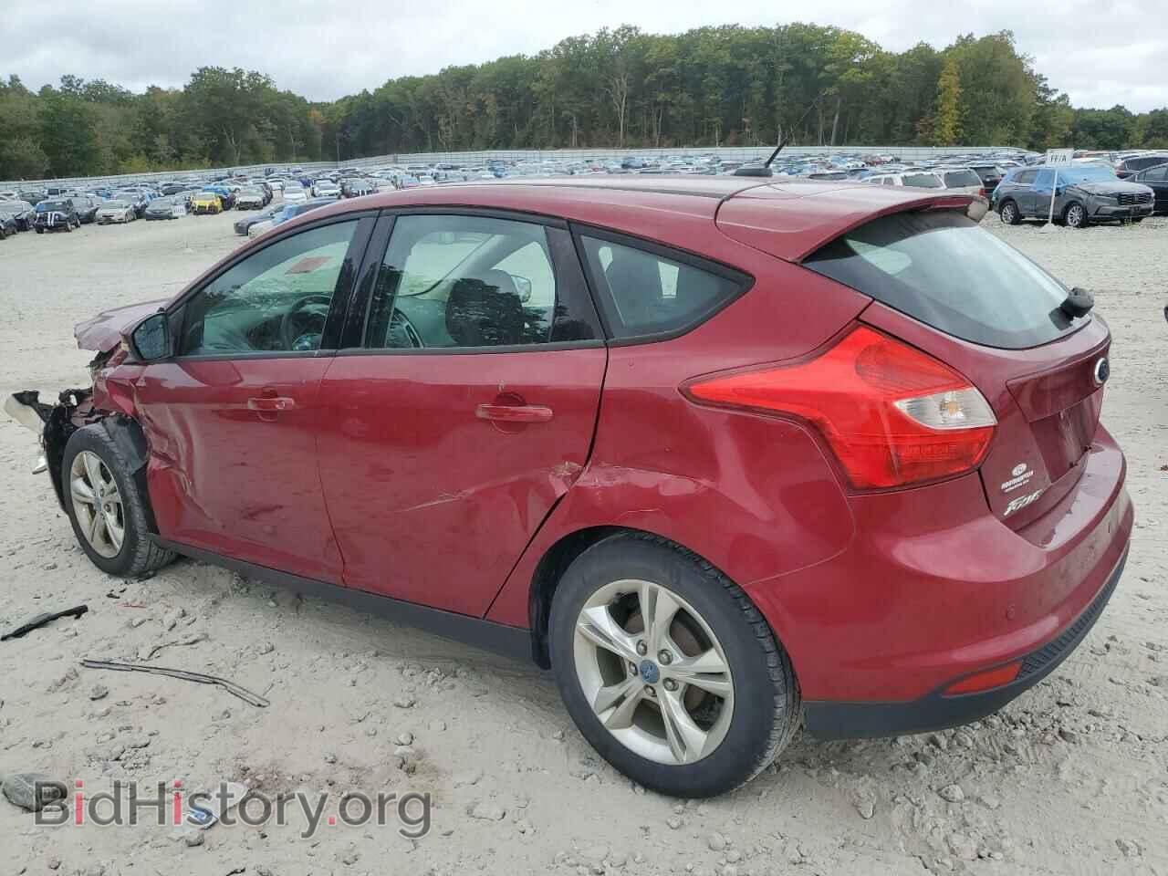 2013 FORD FOCUS - VIN: 1FADP3K24DL224525 - Фото 2