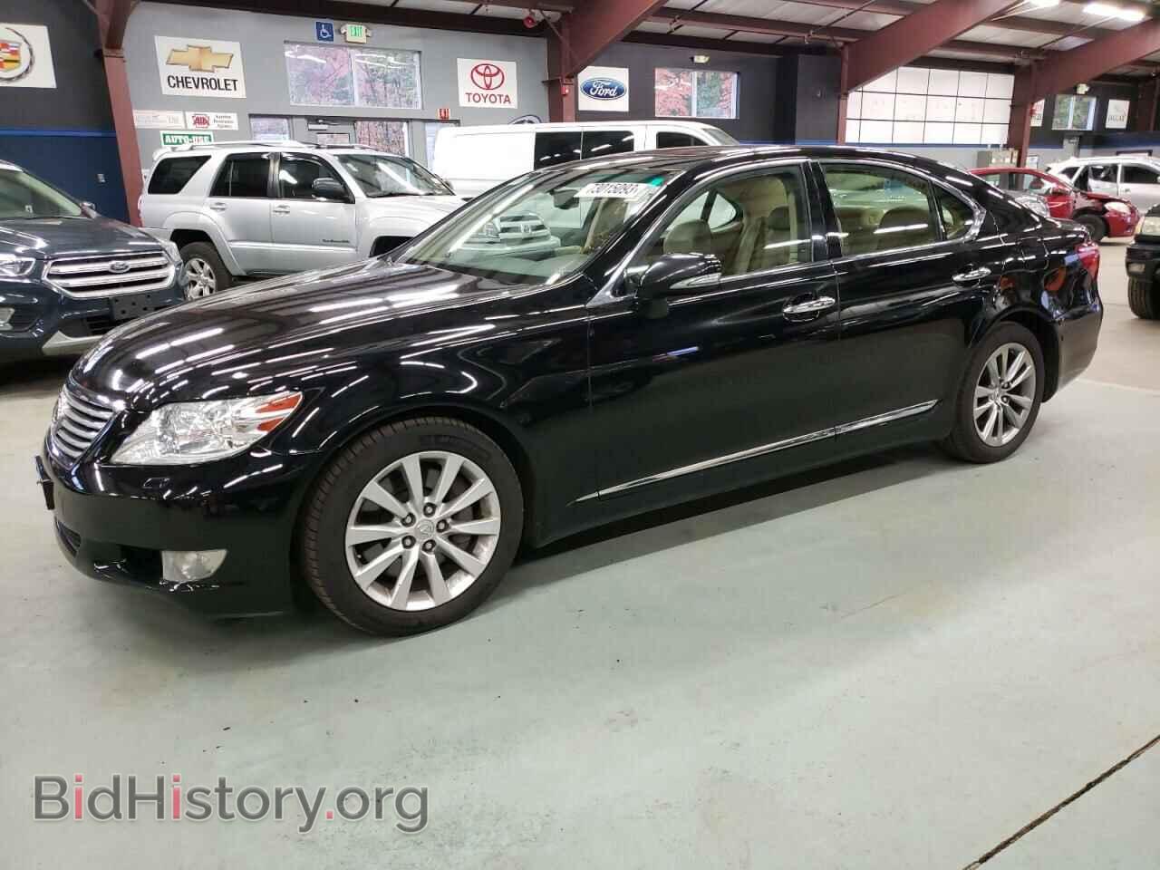 Фотография JTHCL5EF1C5014042 - LEXUS LS460 2012