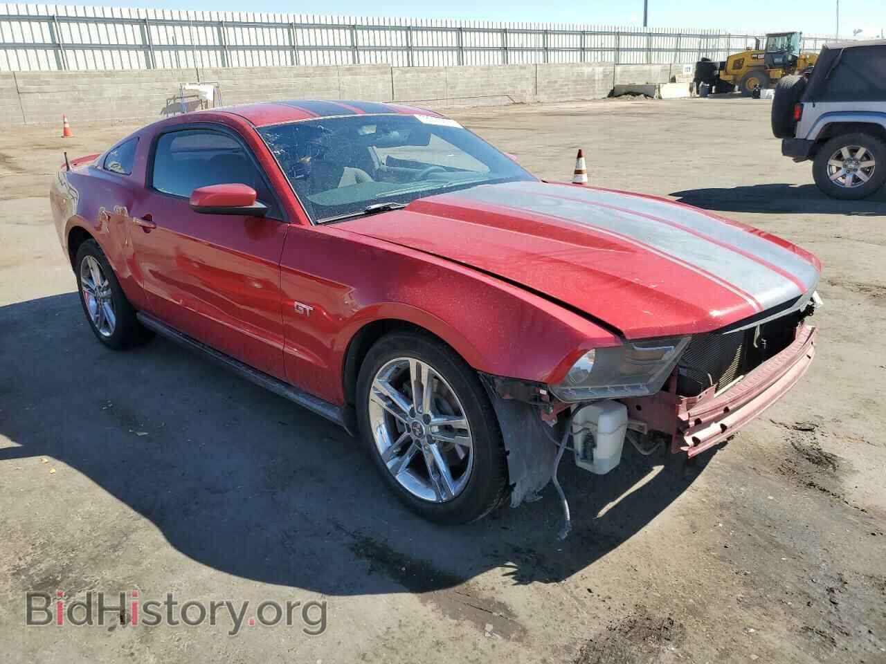 2010 FORD MUSTANG - VIN: 1ZVBP8CH9A5146063 - Фото 4