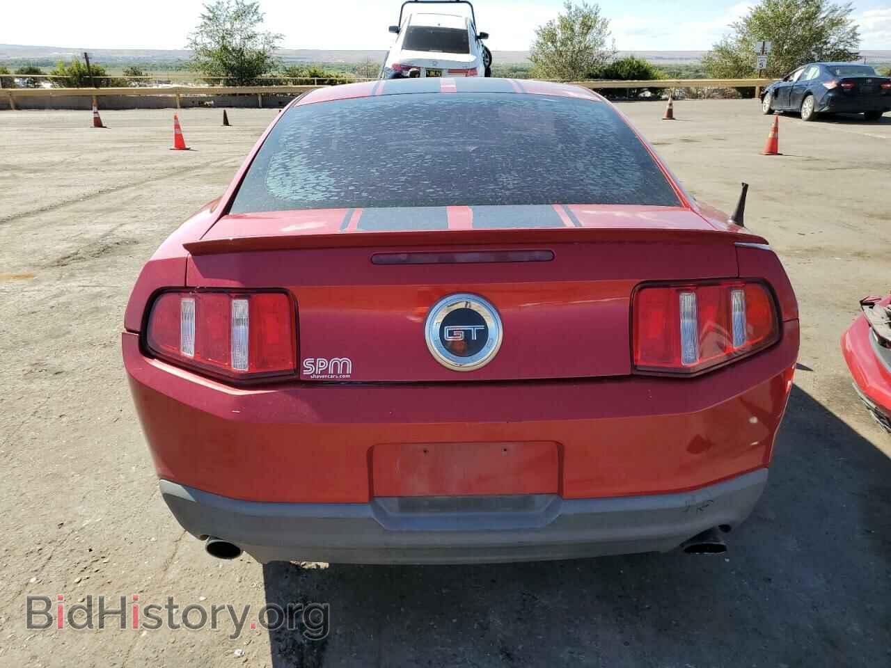 2010 FORD MUSTANG - VIN: 1ZVBP8CH9A5146063 - Фото 6