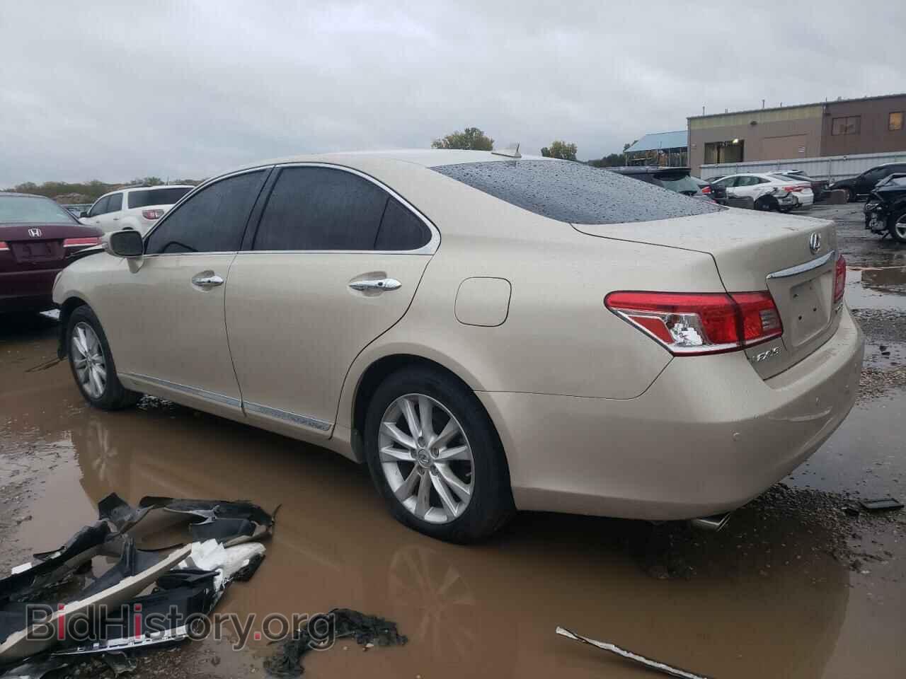 2010 LEXUS ES350 - VIN: JTHBK1EG1A2392800 - Фото 2