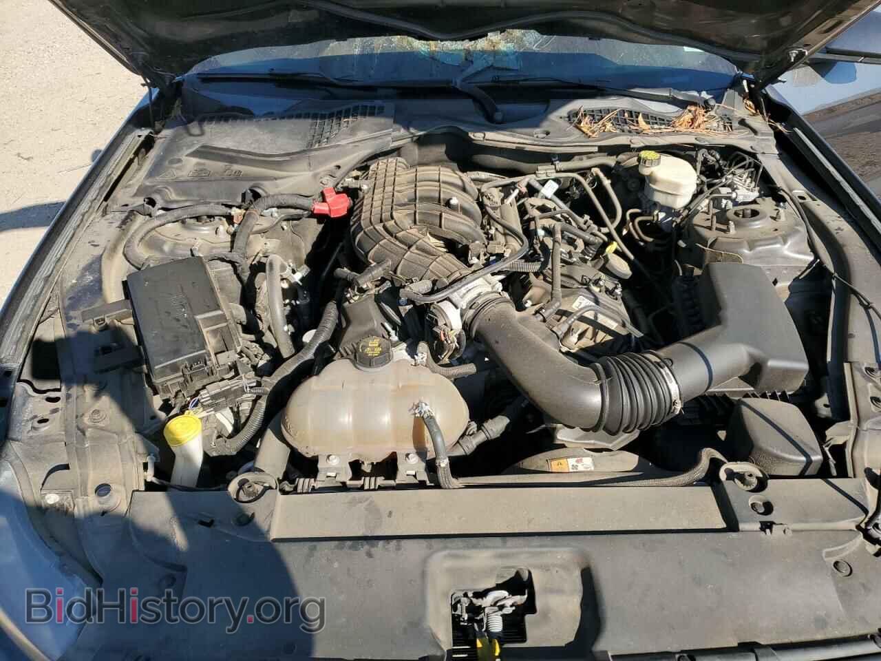 2017 FORD ALL Models - VIN: 1FA6P8AM8H5351572 - Фото 11