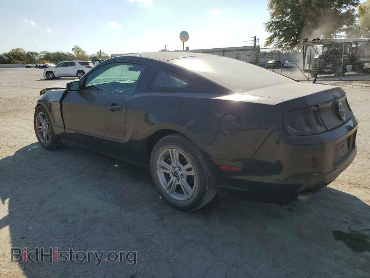 2014 FORD ALL Models - VIN: 1ZVBP8AMXE5241155 - Фото 2