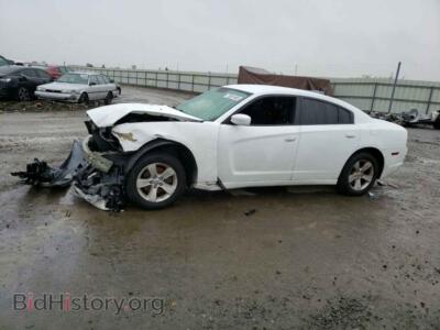 2011 Dodge CHARGER, белый — VIN 2B3CL3CG6BH543447, Copart