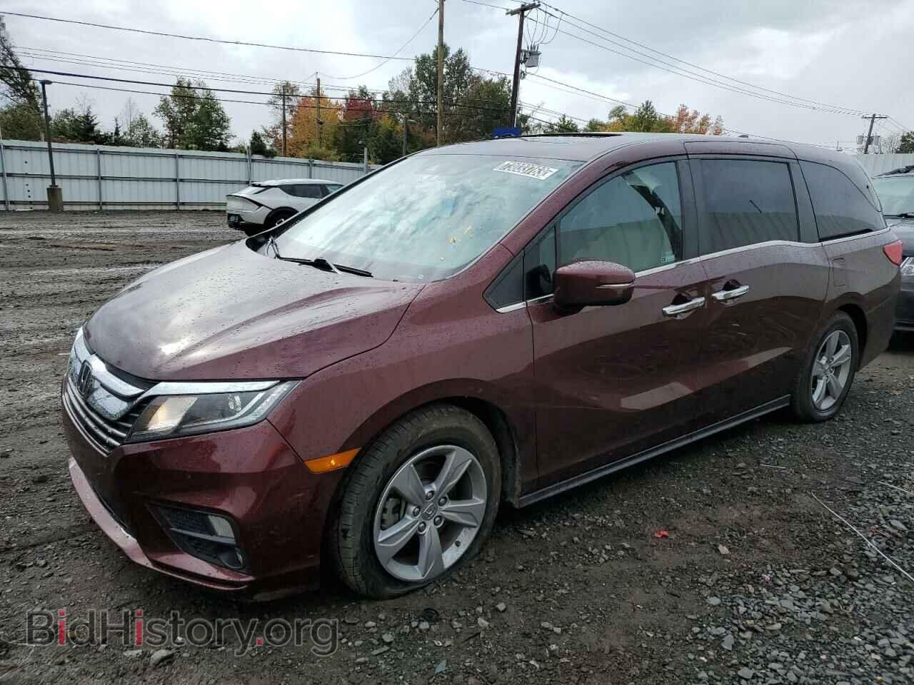 Photo 5FNRL6H75LB060509 - HONDA All Models 2020