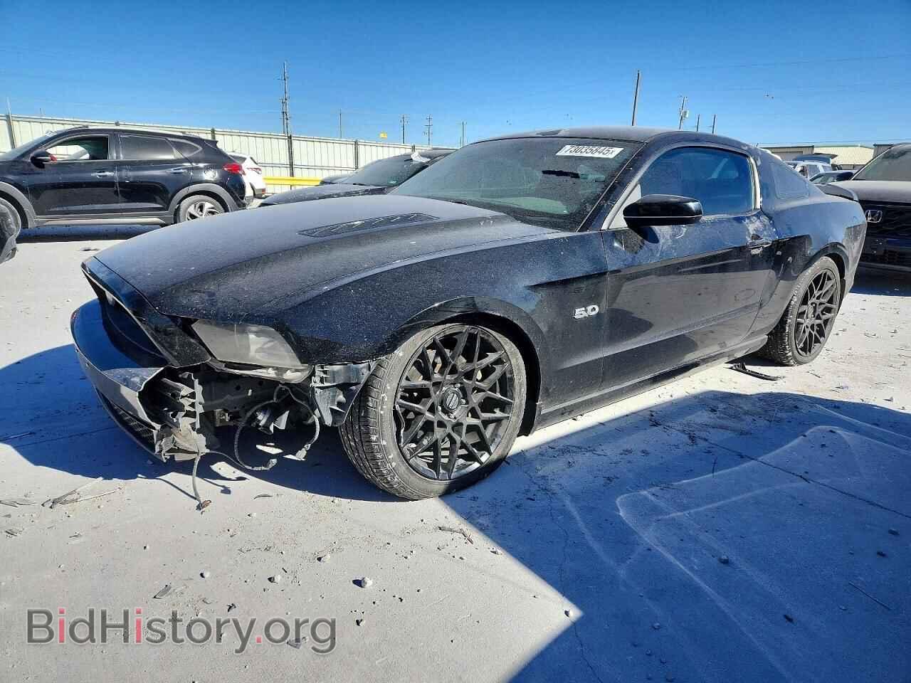 Фотография 1ZVBP8CF4E5266065 - FORD MUSTANG 2014