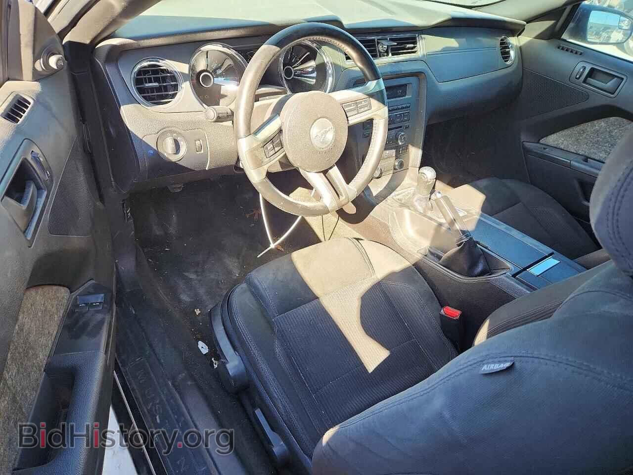 2014 FORD MUSTANG - VIN: 1ZVBP8CF4E5266065 - Фото 8