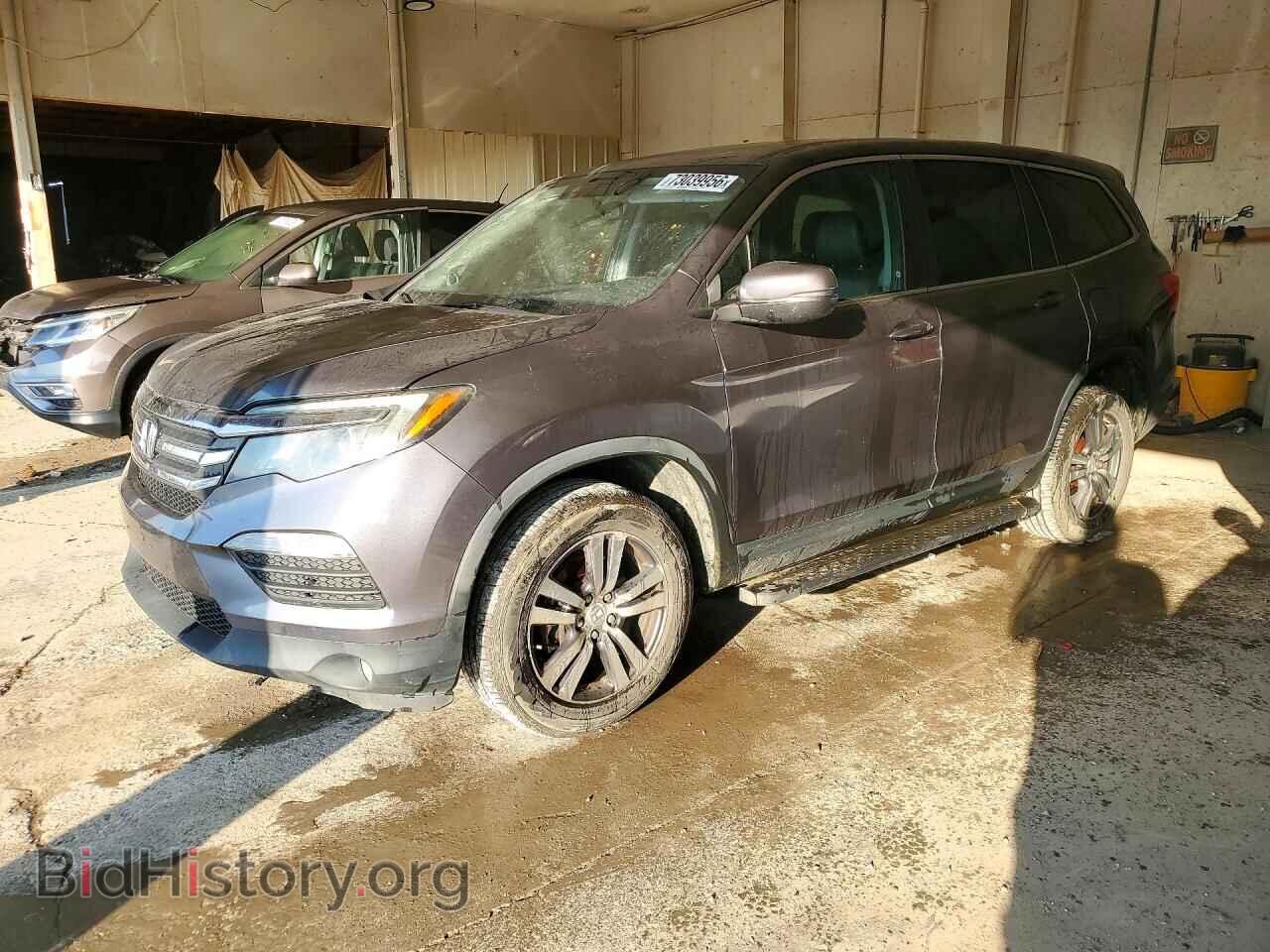 Фотография 5FNYF6H52HB063540 - HONDA PILOT 2017
