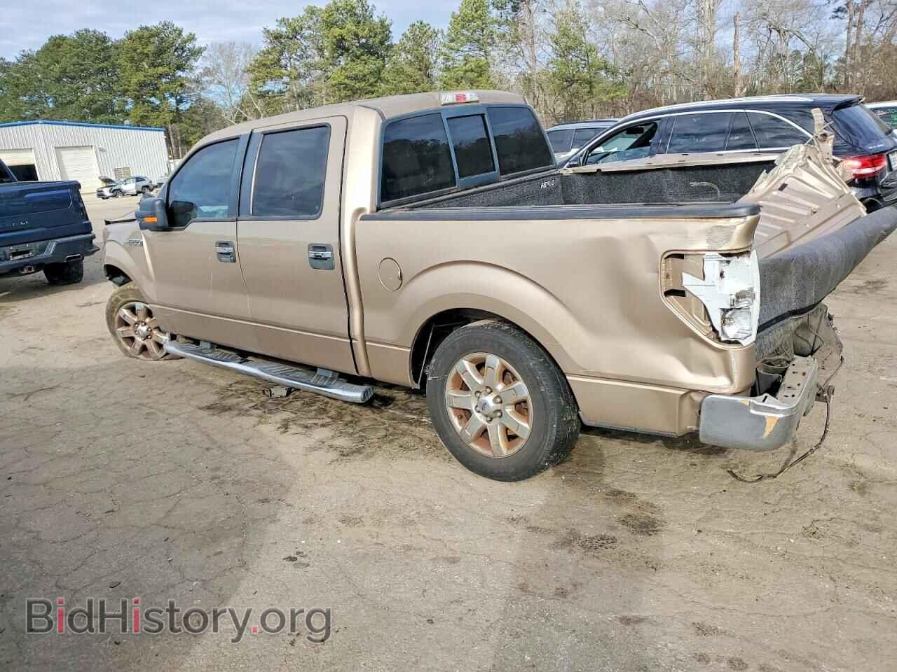 2013 FORD F-150 - VIN: 1FTFW1CF3DKD02522 - Фото 2