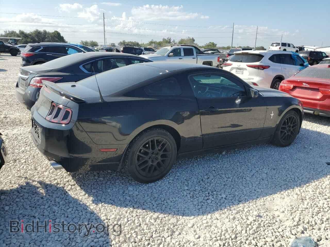 2013 FORD ALL Models - VIN: 1ZVBP8AM6D5247730 - Фото 3