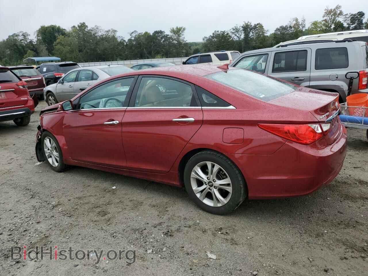 2013 HYUNDAI SONATA - VIN: 5NPEC4ACXDH636074 - Фото 2