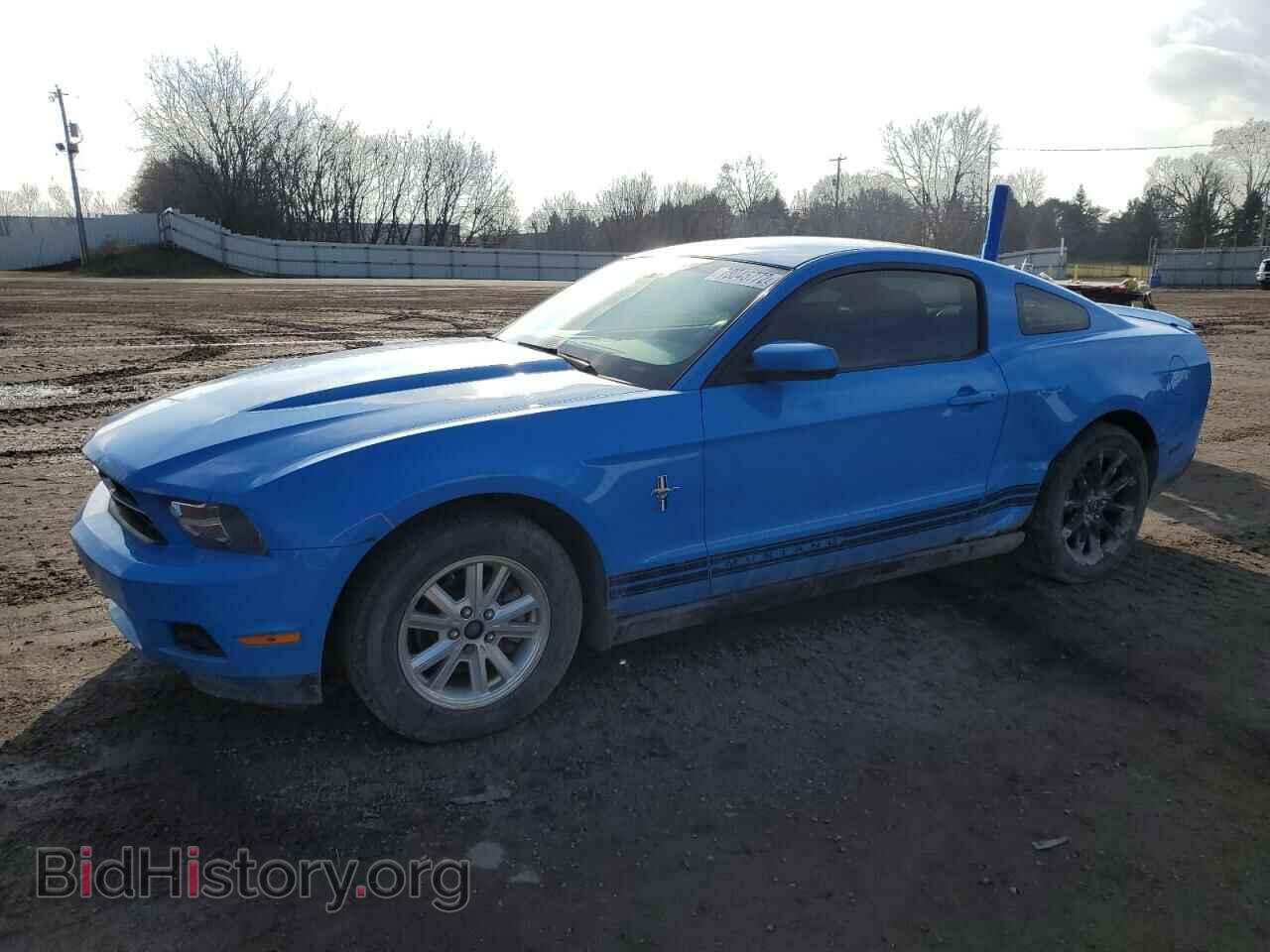 Фотография 1ZVBP8AN9A5100676 - FORD MUSTANG 2010
