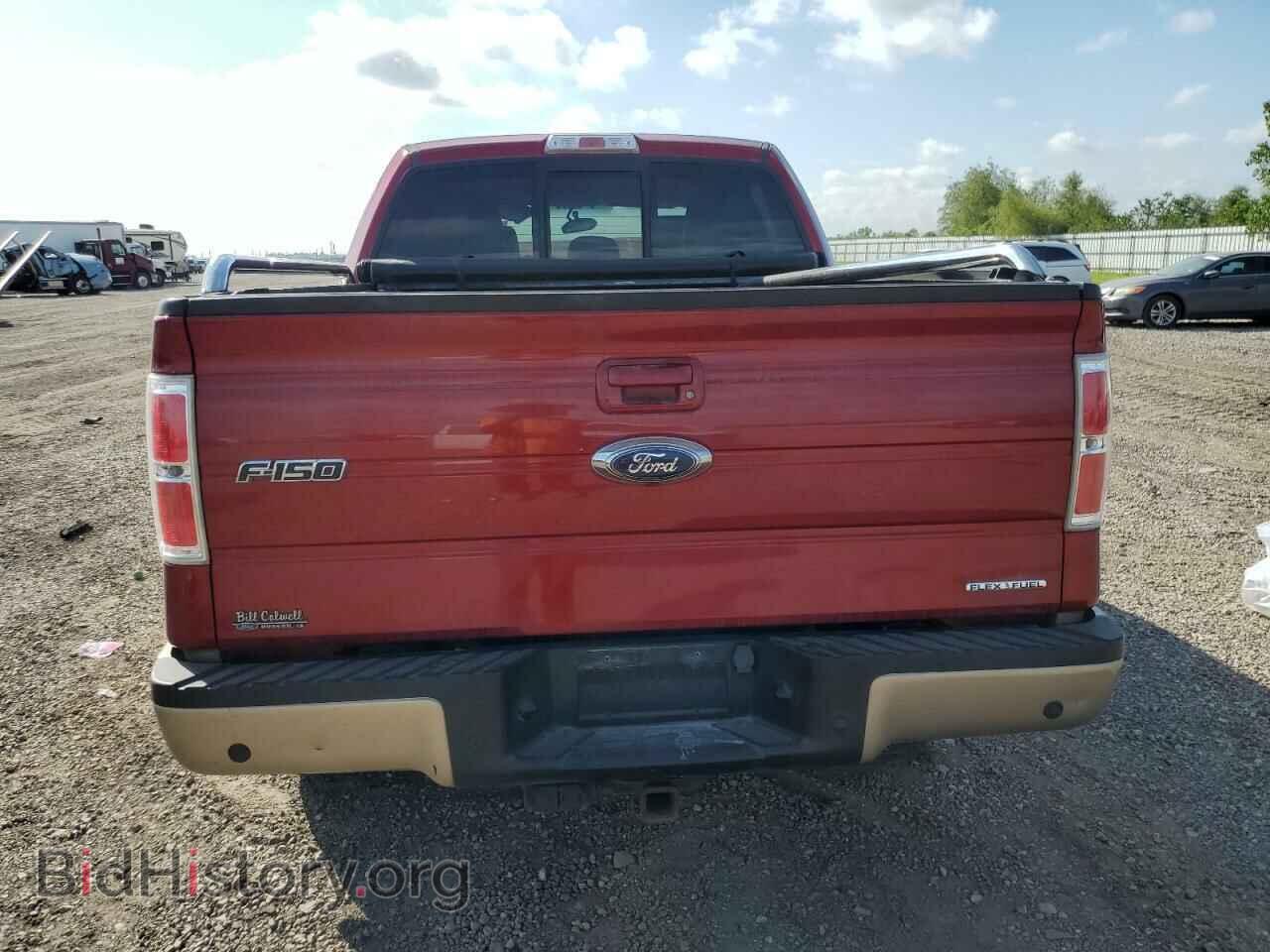 2013 FORD F-150 - VIN: 1FTFW1EF7DKD04402 - Фото 6