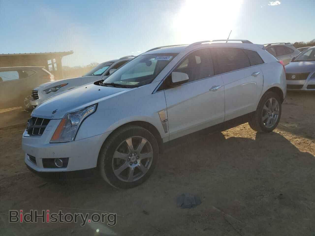 Фотография 3GYFNCEY9BS539752 - CADILLAC SRX 2011