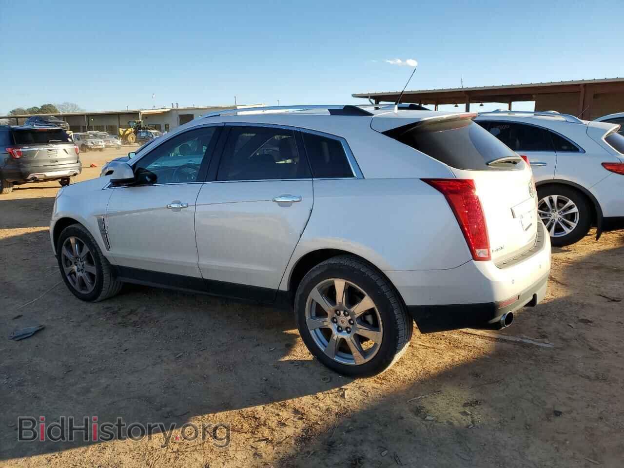 2011 CADILLAC SRX - VIN: 3GYFNCEY9BS539752 - Фото 2