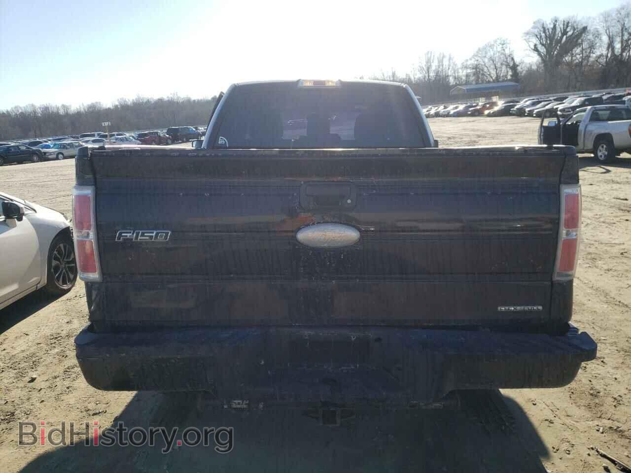 2011 FORD F150 - VIN: 1FTMF1CM7BFC44507 - Фото 6