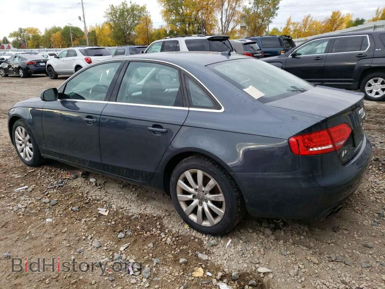 2010 AUDI A4 - VIN: WAUHFAFLXAN045652 - Фото 2