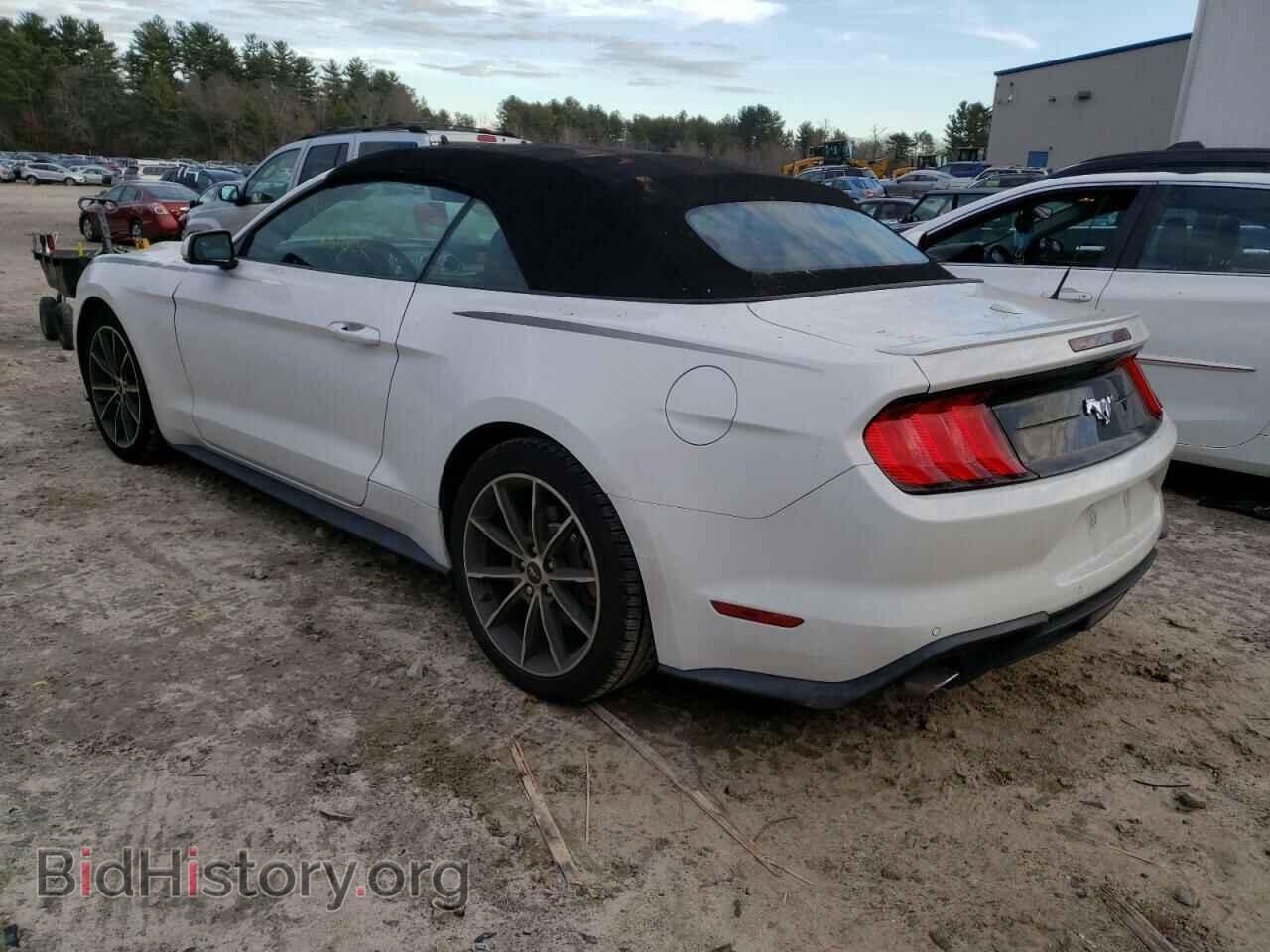 2019 FORD MUSTANG - VIN: 1FATP8UH9K5149641 - Фото 2