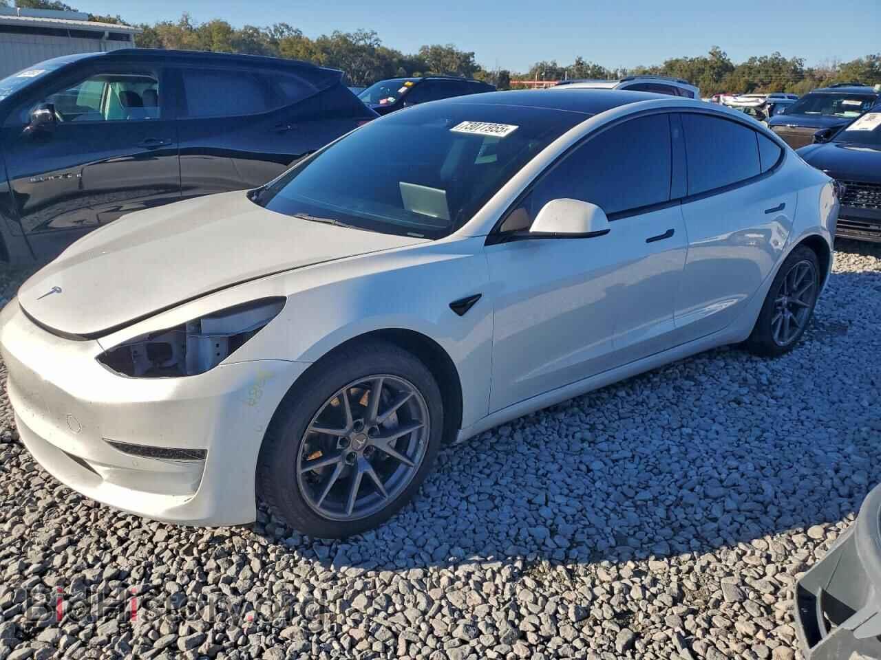 Photo 5YJ3E1EA6MF085651 - TESLA MODEL 3 2021