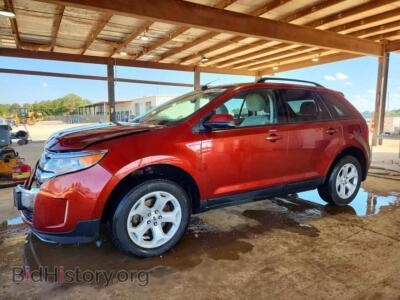 2014 Ford EDGE SEL, orange — VIN 2FMDK3JCXEBA49357, Copart