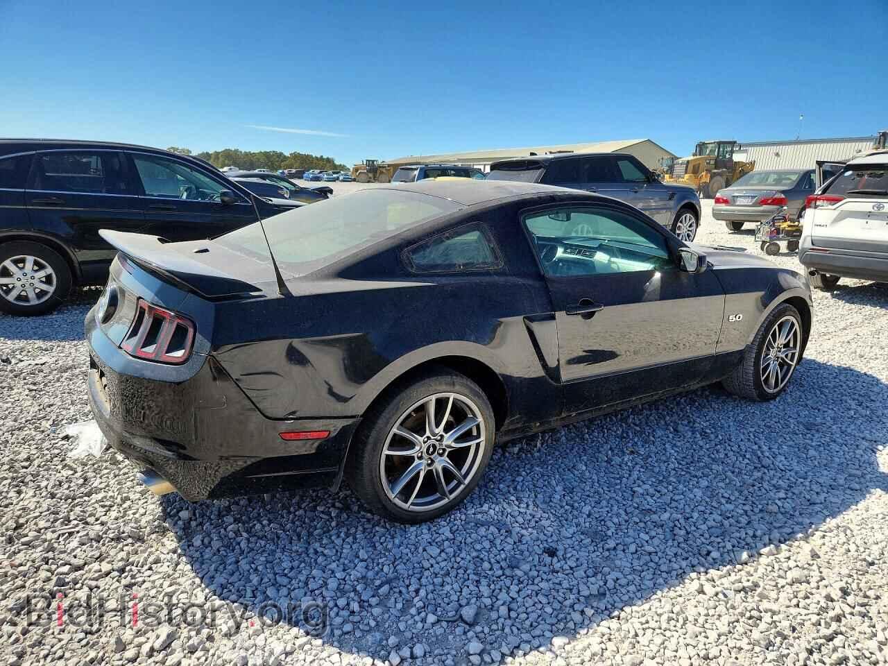 2014 Ford MUSTANG (VIN 1ZVBP8CF1E5297953) — фото 3 из 12