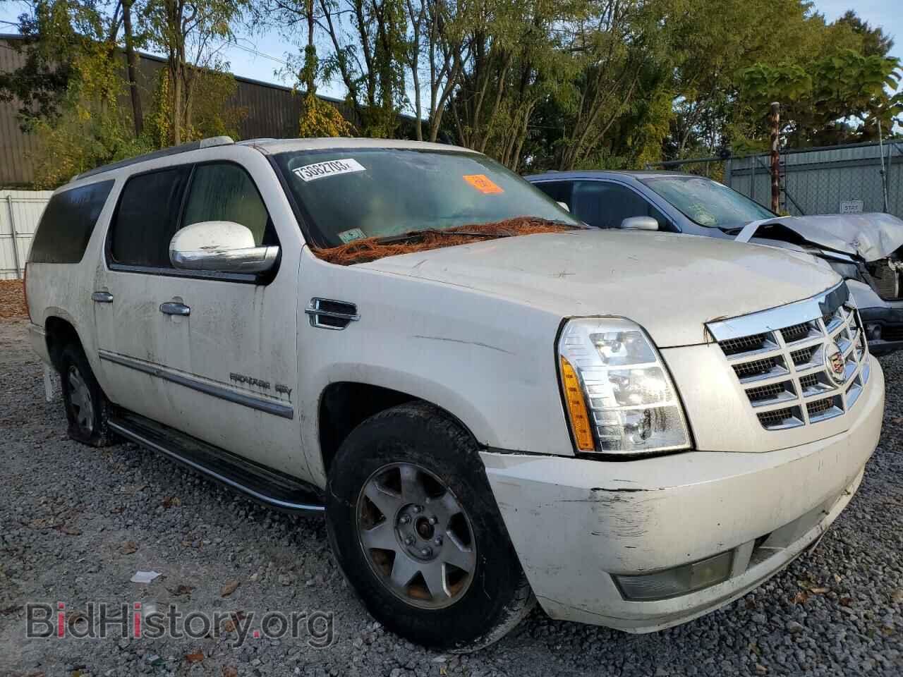 2011 CADILLAC ESCALADE - VIN: 1GYS4HEF4BR113693 - Фото 4