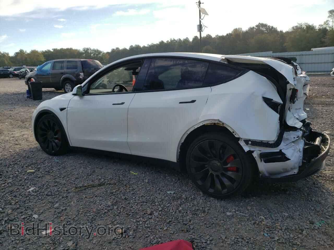 2022 TESLA MODEL Y - VIN: 7SAYGDEF3NF544300 - Фото 2