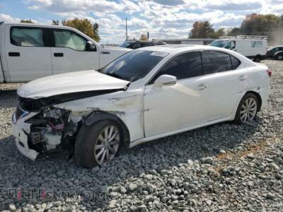 2009 Lexus IS IS 250, белый — VIN JTHCK262092031132, Copart