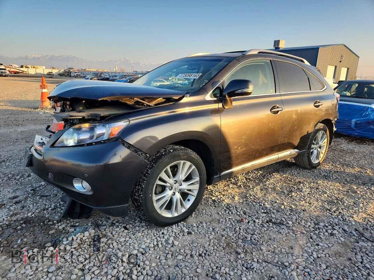 Photo JTJBC1BA1A2020269 - LEXUS RX450 2010