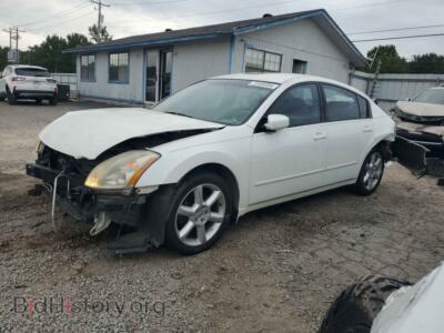 2006 Nissan MAXIMA SE, белый — VIN 1N4BA41E16C861952, Copart