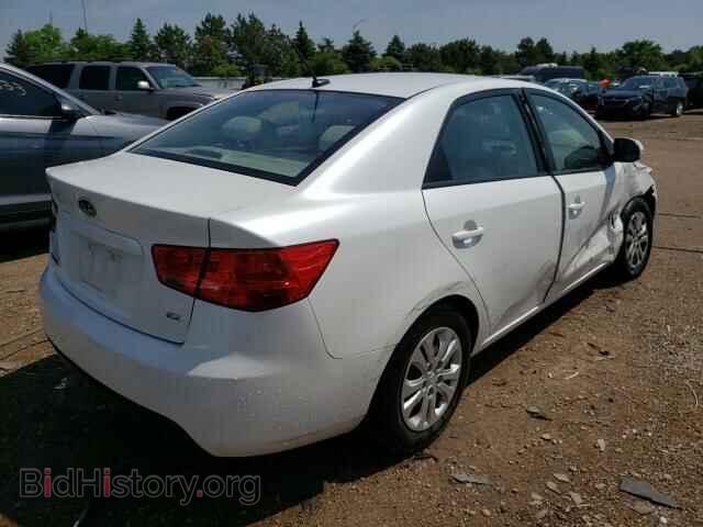 2013 KIA FORTE - VIN: KNAFU4A23D5694288 - Фото 3