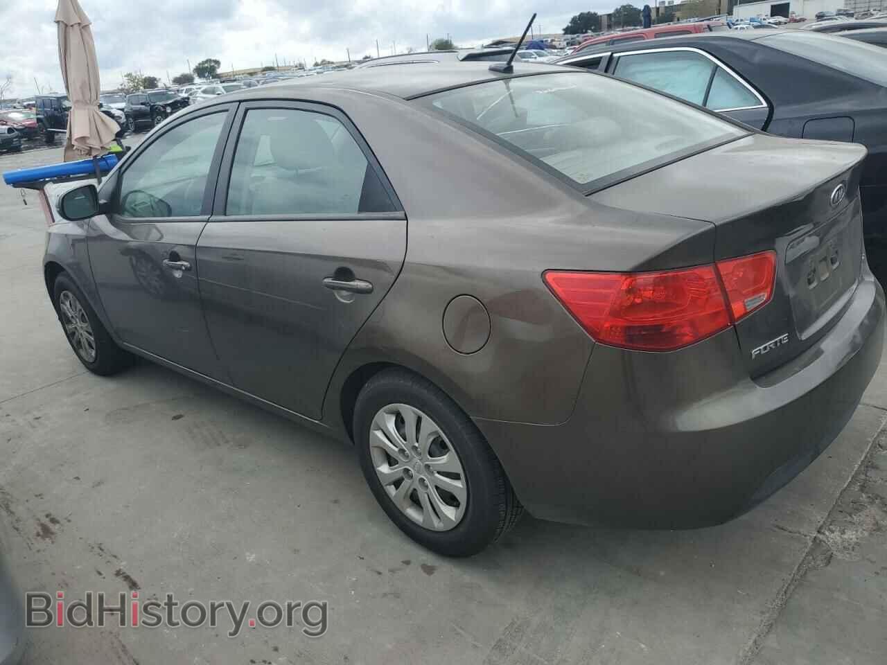 2013 KIA FORTE - VIN: KNAFU4A28D5695209 - Фото 2