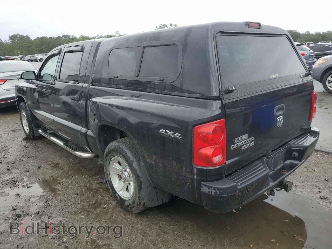 2011 DODGE DAKOTA - VIN: 1D7RW3GPXBS503512 - Фото 2