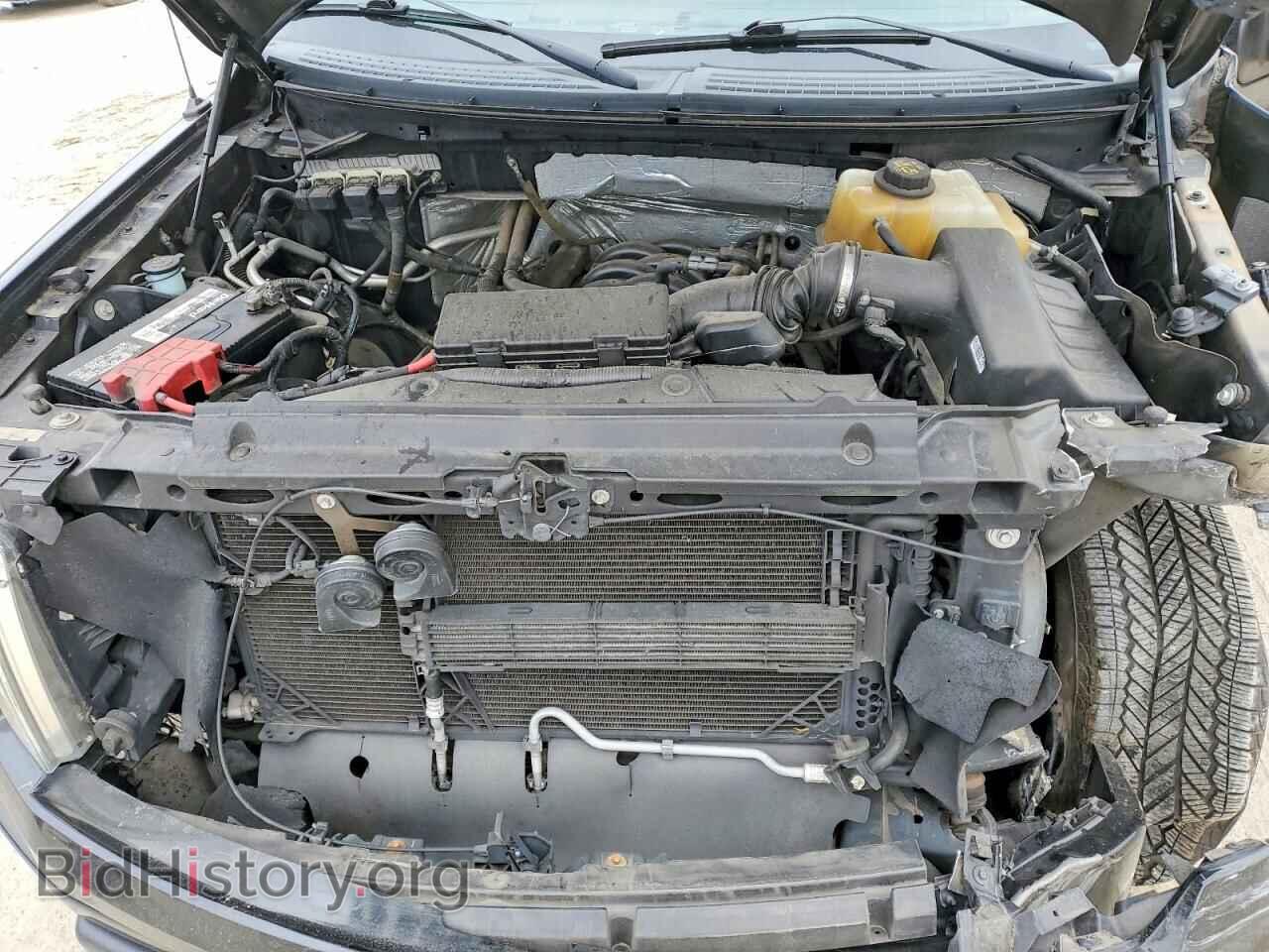 2013 FORD F-150 - VIN: 1FTFX1CF6DFD74501 - Фото 11