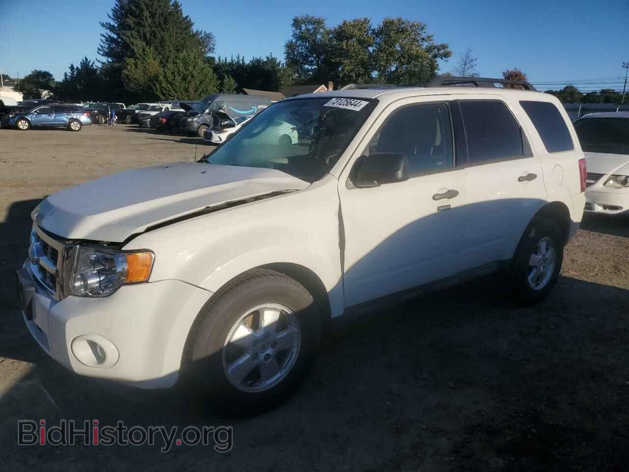 Фотография 1FMCU0DG3BKC71565 - FORD ESCAPE 2011