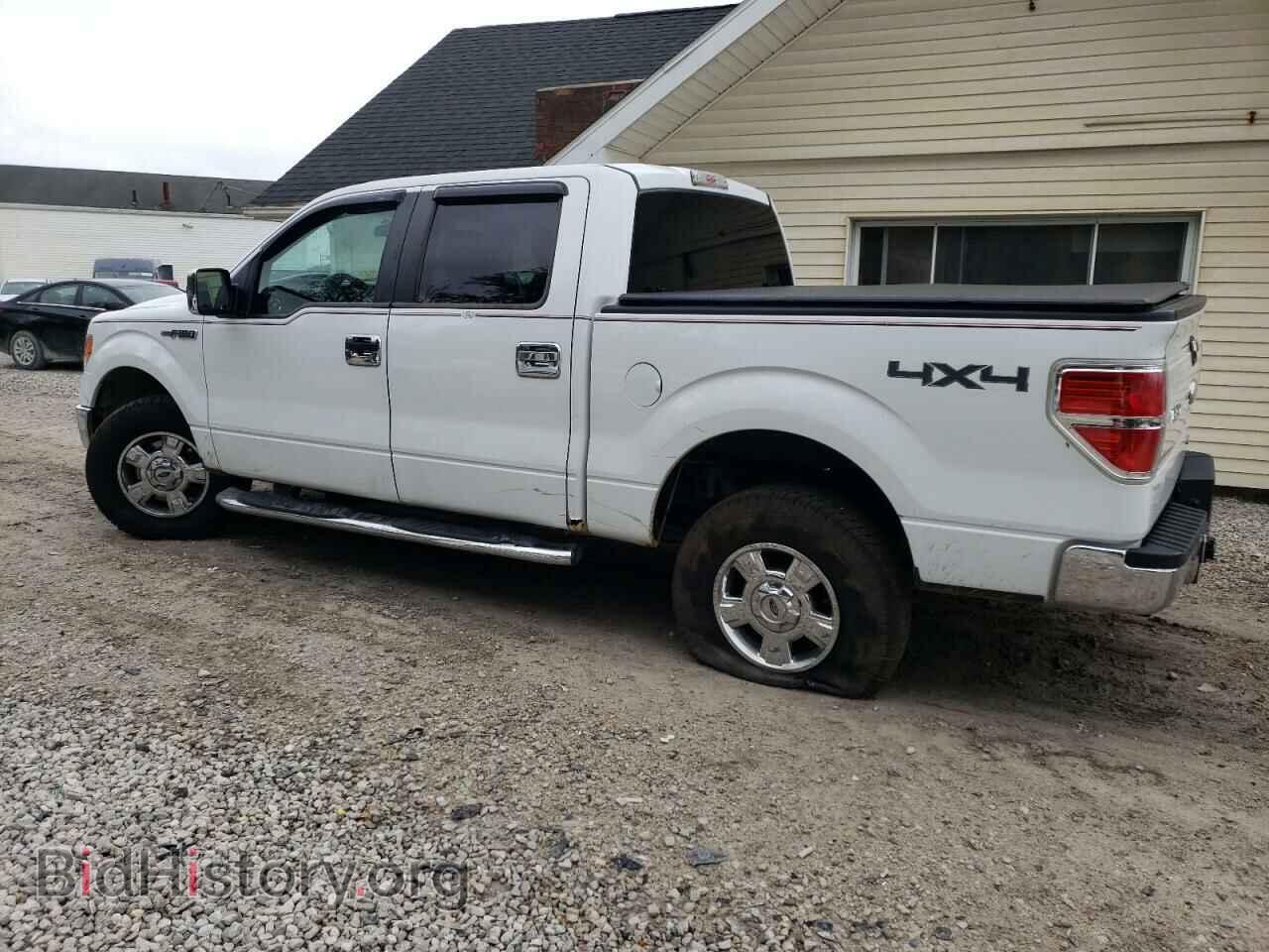 2011 FORD F-150 - VIN: 1FTFW1EF6BFC56980 - Фото 2