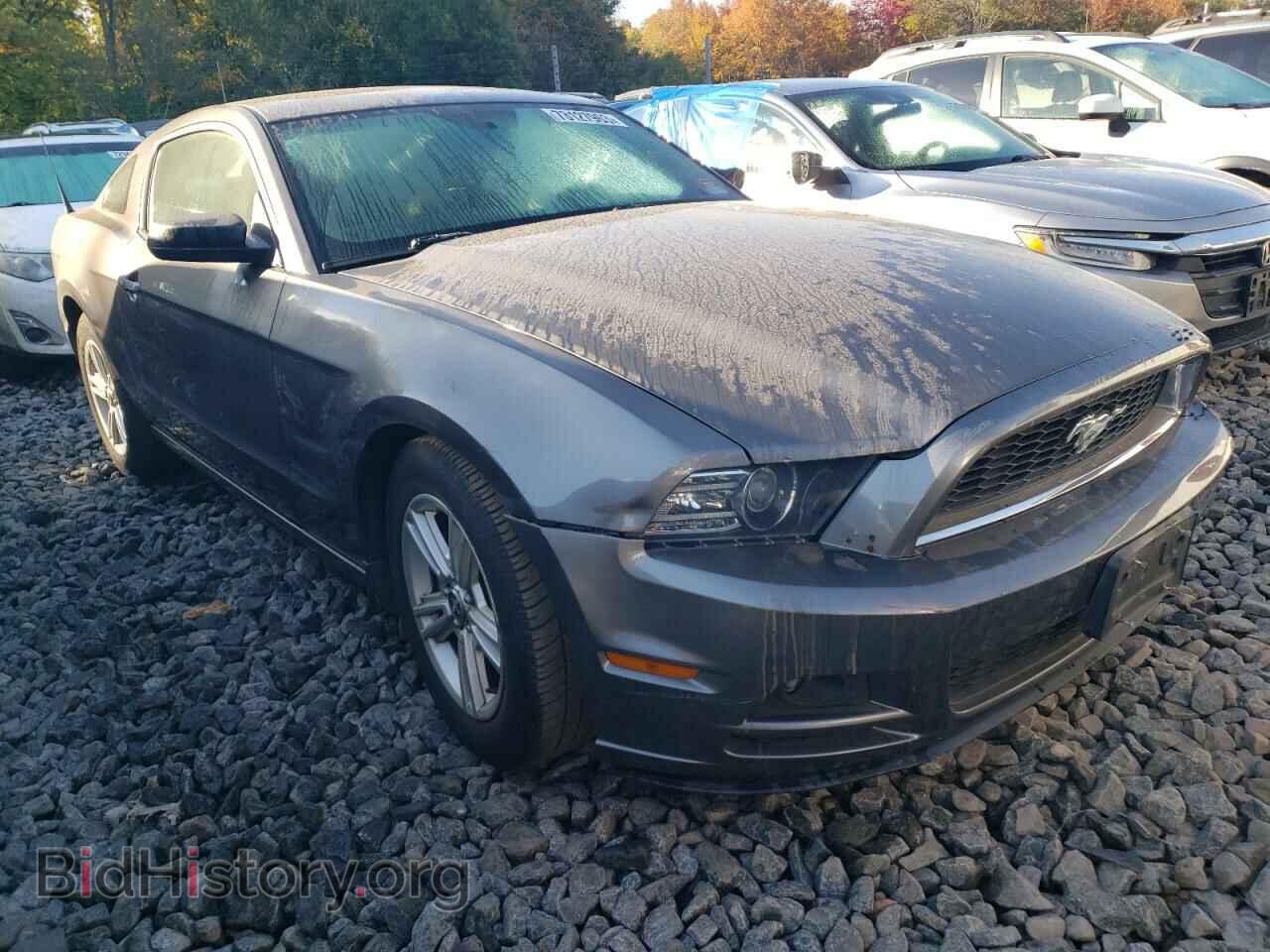 2014 FORD ALL Models - VIN: 1ZVBP8AM3E5209051 - Фото 4