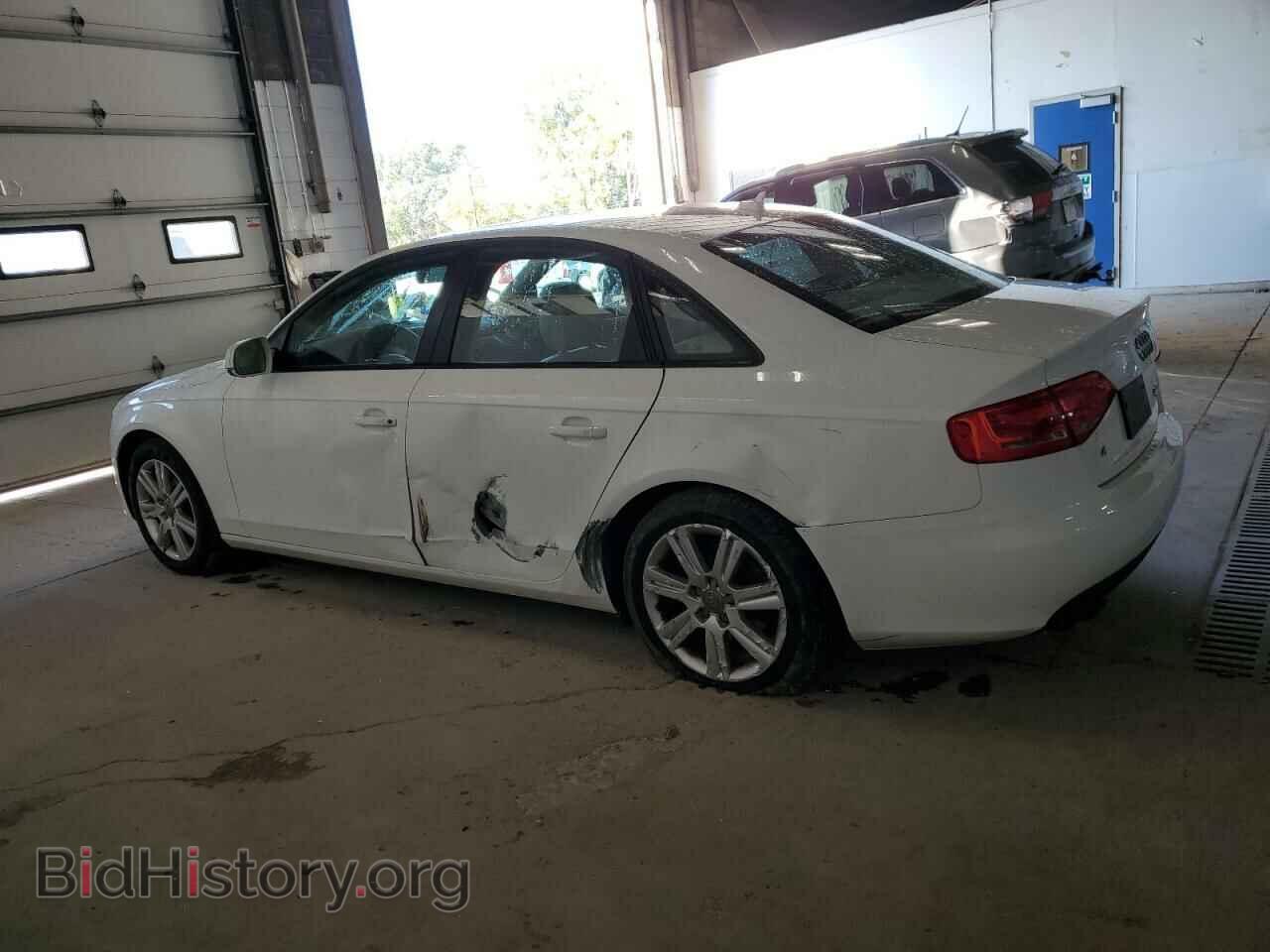 2010 AUDI A4 - VIN: WAUBFAFL5AN042034 - Фото 2